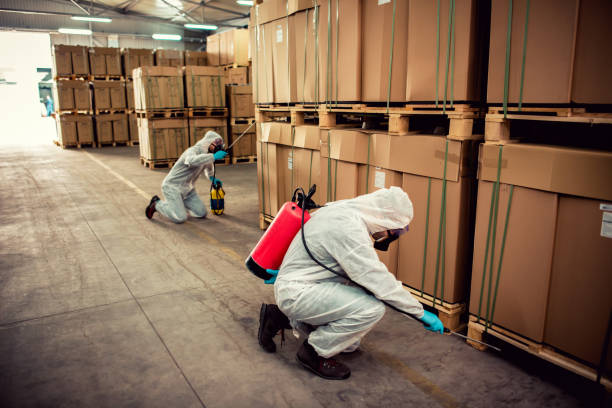 Best Best Pest Control Companies  in Mount Olive, NC