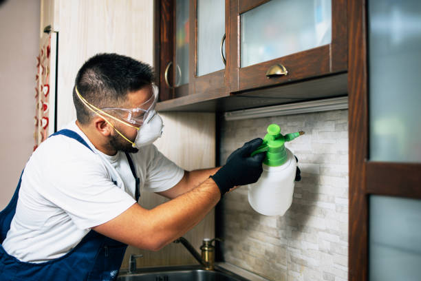 Best Pest Control Near Me in Mount Olive, NC