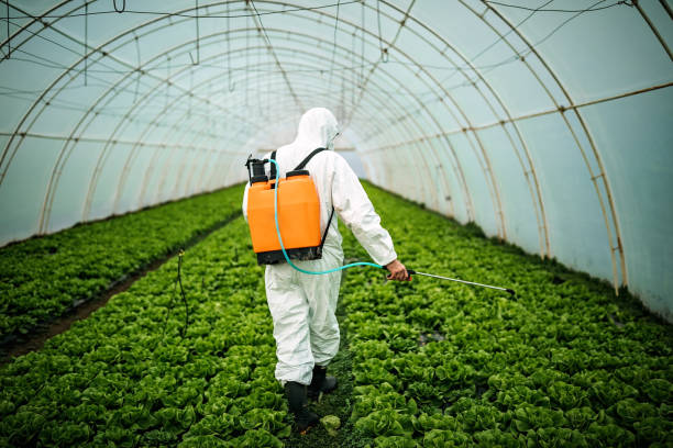 Best Local Pest Control Services  in Mount Olive, NC