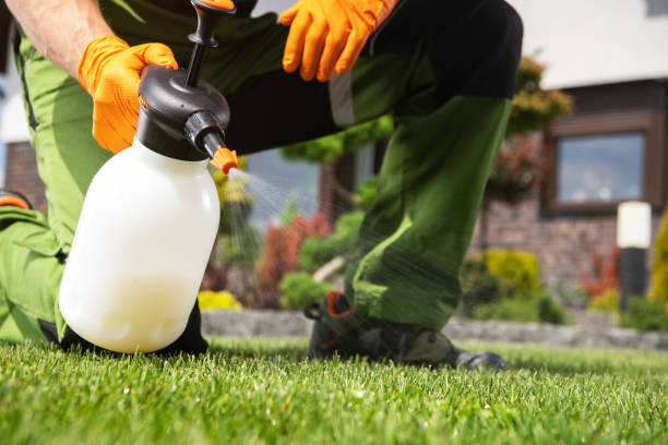 Best Commercial Pest Control Services  in Mount Olive, NC