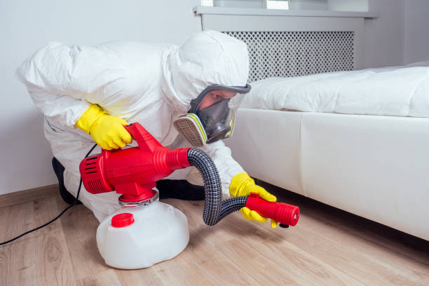 Best Flea Control Services  in Mount Olive, NC