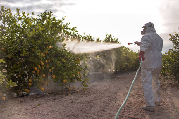 Best Commercial Pest Control Services  in Mount Olive, NC